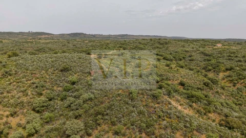 Terreno para Venda em Rosmaninhal