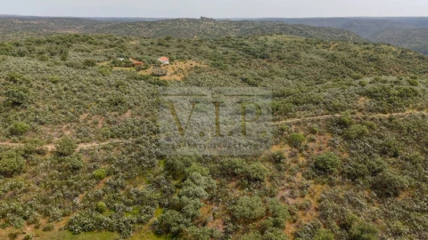 Terreno para Venda em Rosmaninhal