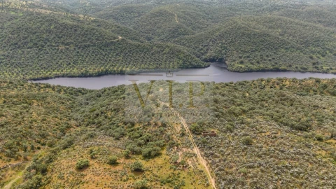Terreno para Venda em Rosmaninhal