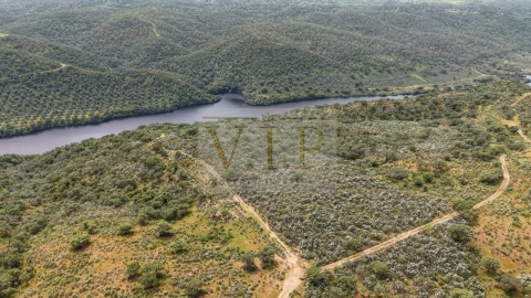 Terreno para Venda em Rosmaninhal