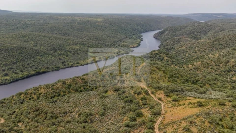 Terreno para Venda em Rosmaninhal
