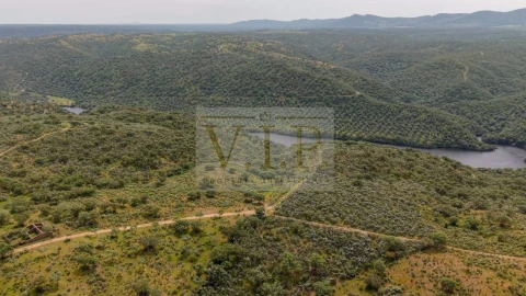 Terreno para Venda em Rosmaninhal