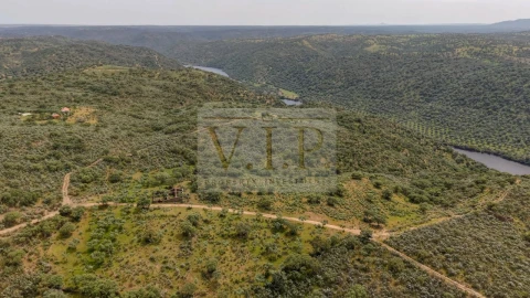Terreno para Venda em Rosmaninhal