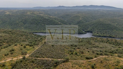 Terreno para Venda em Rosmaninhal