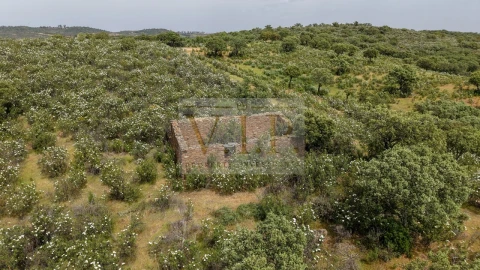 Terreno para Venda em Rosmaninhal