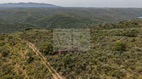Terreno para Venda em Rosmaninhal