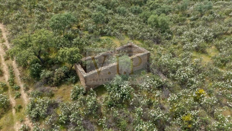 Terreno para Venda em Rosmaninhal