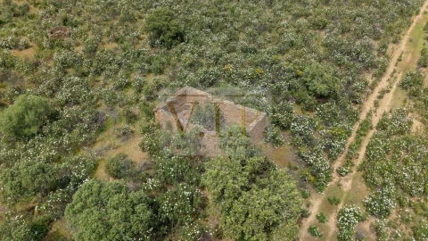 Terreno para Venda em Rosmaninhal