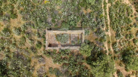 Terreno para Venda em Rosmaninhal