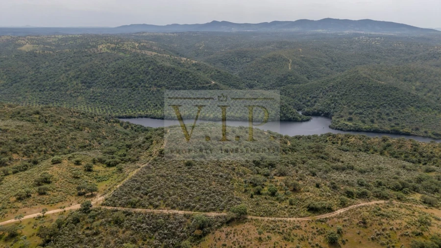 Terreno para Venda em Rosmaninhal Foto 17
