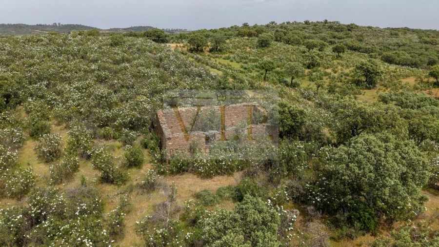 Terreno para Venda em Rosmaninhal Foto 19