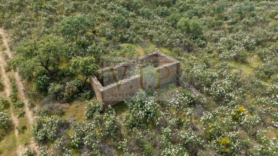 Terreno para Venda em Rosmaninhal Foto 21