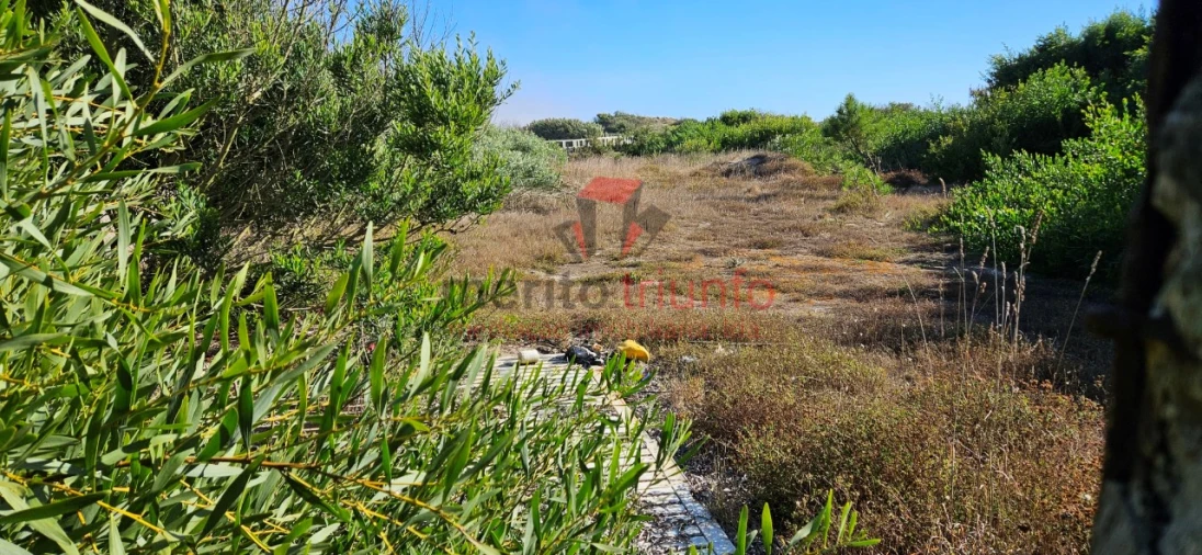 Terreno Agricola ou Rústico para Venda em Esposende, Marinhas e Gandra Foto 6