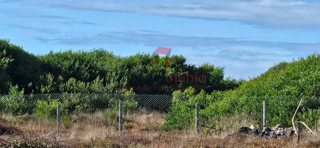 Terreno Agricola ou Rústico para Venda em Esposende, Marinhas e Gandra Foto 7