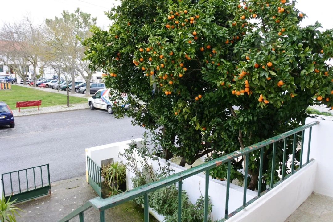 Moradia T4 para Arrendamento em Malagueira e Horta das Figueiras Foto 4