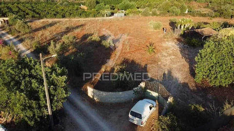 Terreno para Venda em Alcantarilha e Pêra