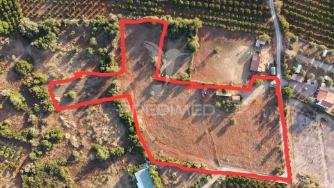 Terreno para Venda em Alcantarilha e Pêra