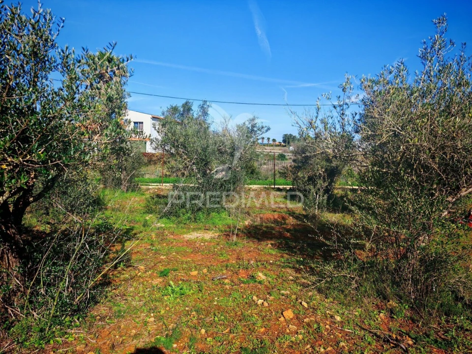 Terreno para Venda em Alcantarilha e Pêra Foto 13