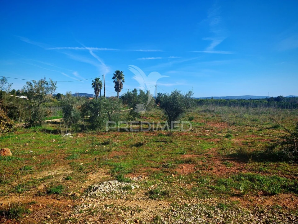 Terreno para Venda em Alcantarilha e Pêra Foto 12