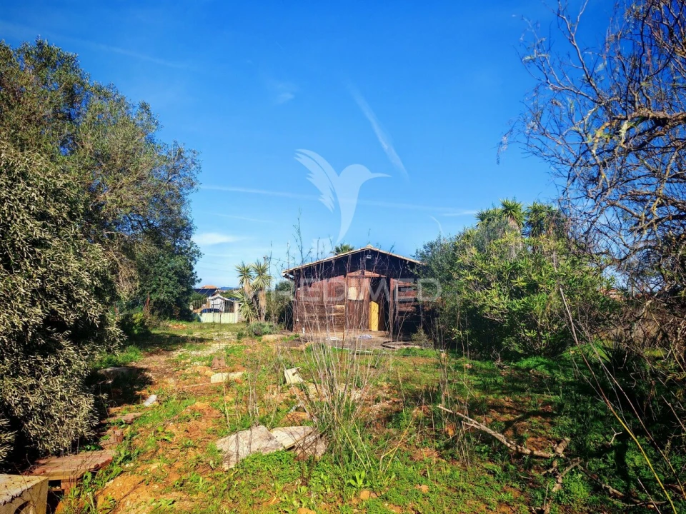 Terreno para Venda em Alcantarilha e Pêra Foto 6