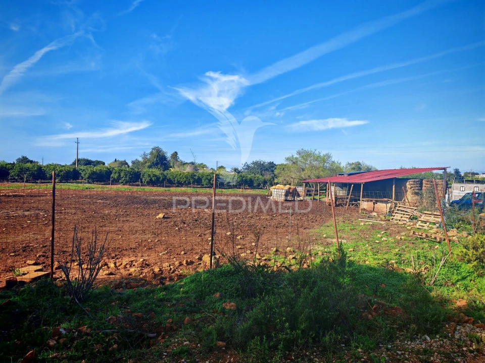 Terreno para Venda em Alcantarilha e Pêra Foto 9