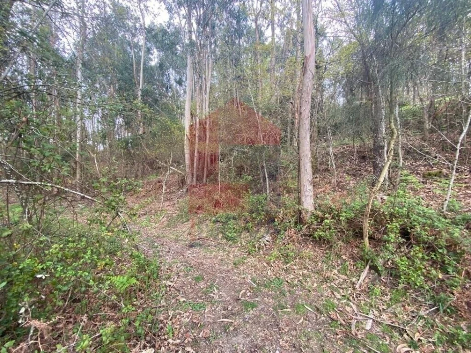 Terreno para Venda em Sande, Vilarinho, Barros e Gomide Foto 33