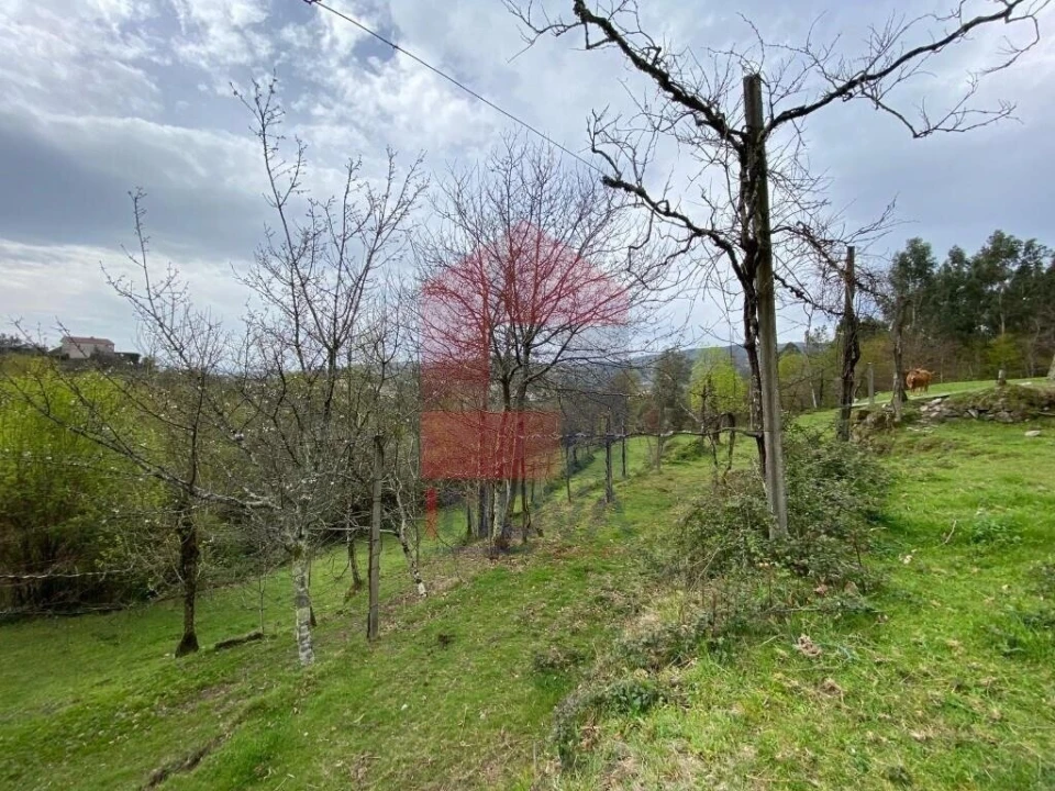 Terreno para Venda em Sande, Vilarinho, Barros e Gomide Foto 15