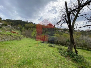 Terreno para Venda em Sande, Vilarinho, Barros e Gomide