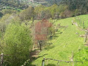 Terreno para Venda em Sande, Vilarinho, Barros e Gomide