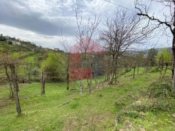 Terreno para Venda em Sande, Vilarinho, Barros e Gomide