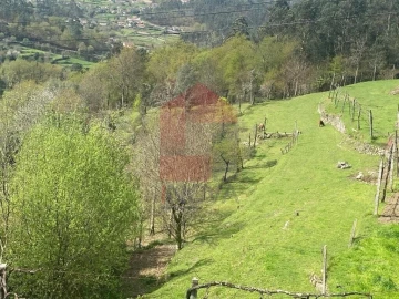 Terreno para Venda em Sande, Vilarinho, Barros e Gomide