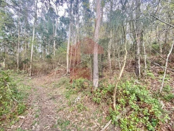 Terreno para Venda em Sande, Vilarinho, Barros e Gomide