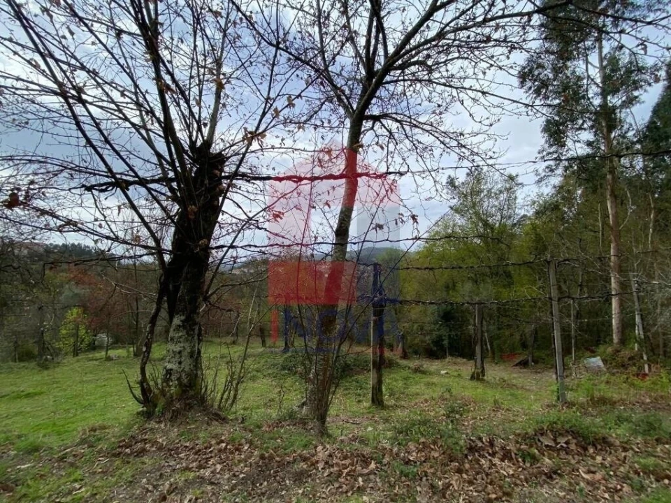 Terreno para Venda em Sande, Vilarinho, Barros e Gomide Foto 12