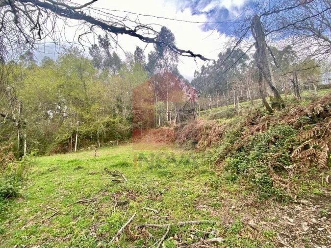Terreno para Venda em Sande, Vilarinho, Barros e Gomide Foto 34