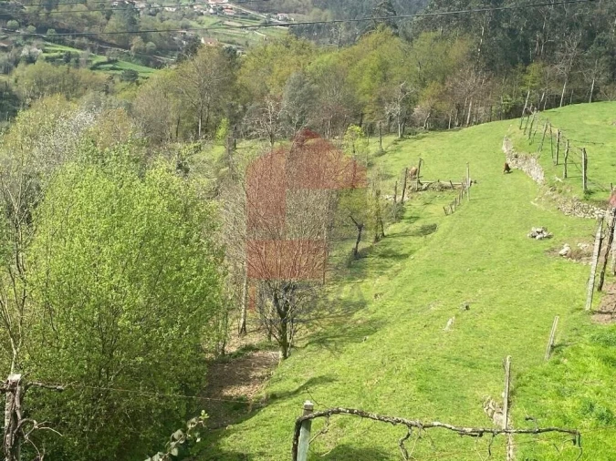 Terreno para Venda em Sande, Vilarinho, Barros e Gomide Foto 4