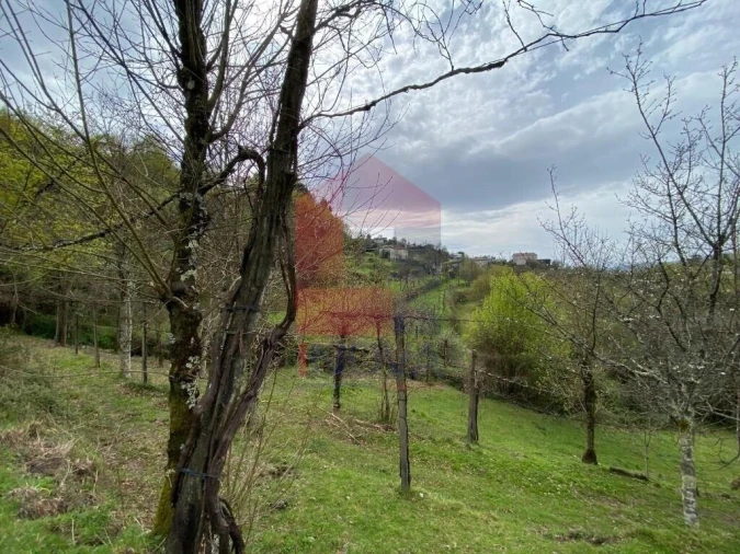 Terreno para Venda em Sande, Vilarinho, Barros e Gomide Foto 16
