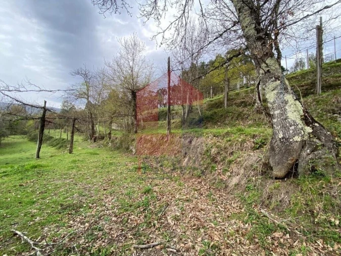 Terreno para Venda em Sande, Vilarinho, Barros e Gomide Foto 23