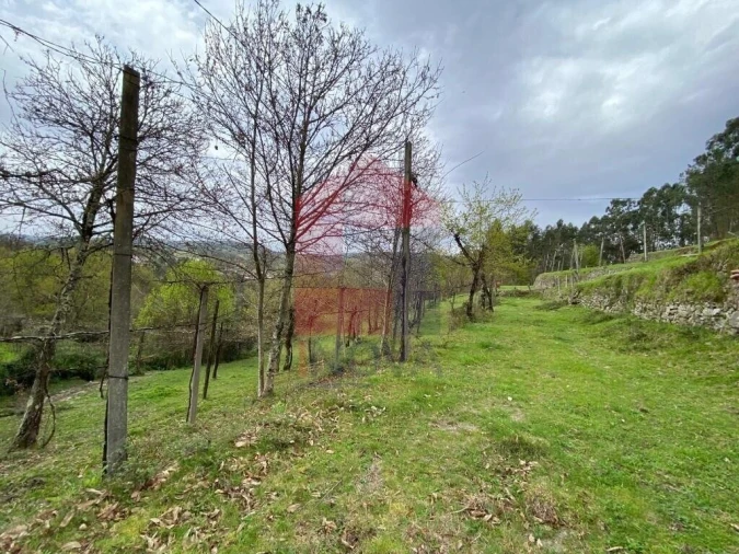 Terreno para Venda em Sande, Vilarinho, Barros e Gomide Foto 24
