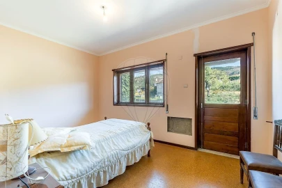 Quinta T3 para Venda em Vilar de Nantes