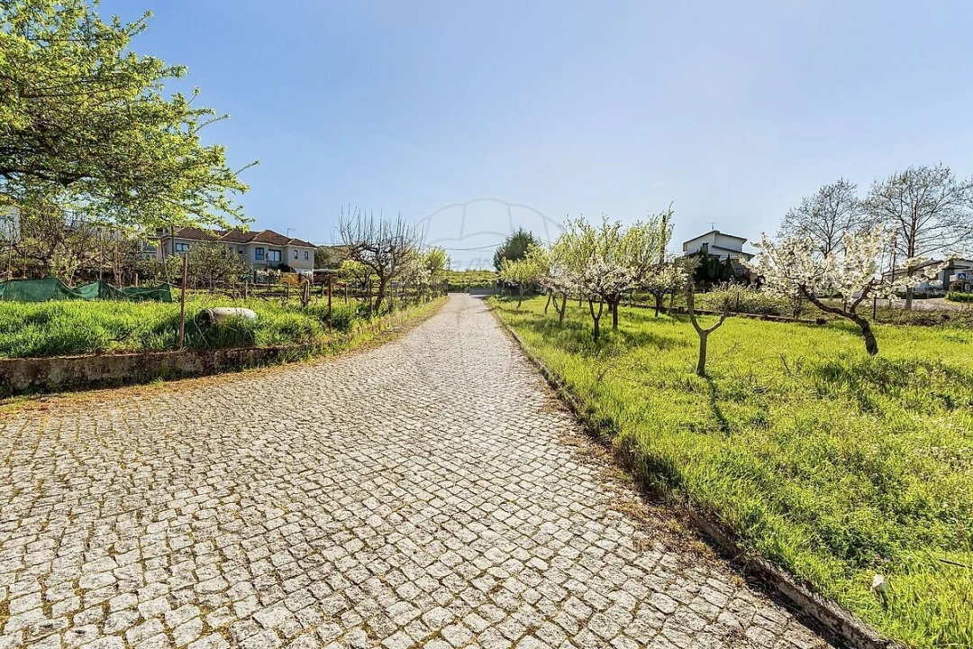Quinta T3 para Venda em Vilar de Nantes Foto 4