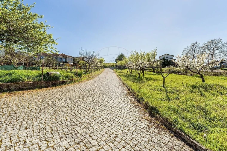 Quinta T3 para Venda em Vilar de Nantes Foto 4