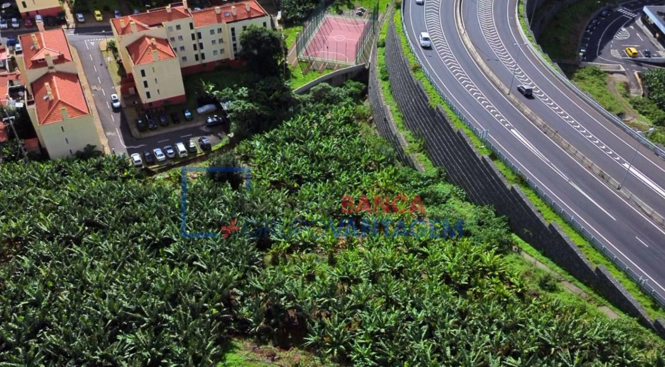 Terreno P/ Prédio para Venda em Camara de Lobos Foto 4