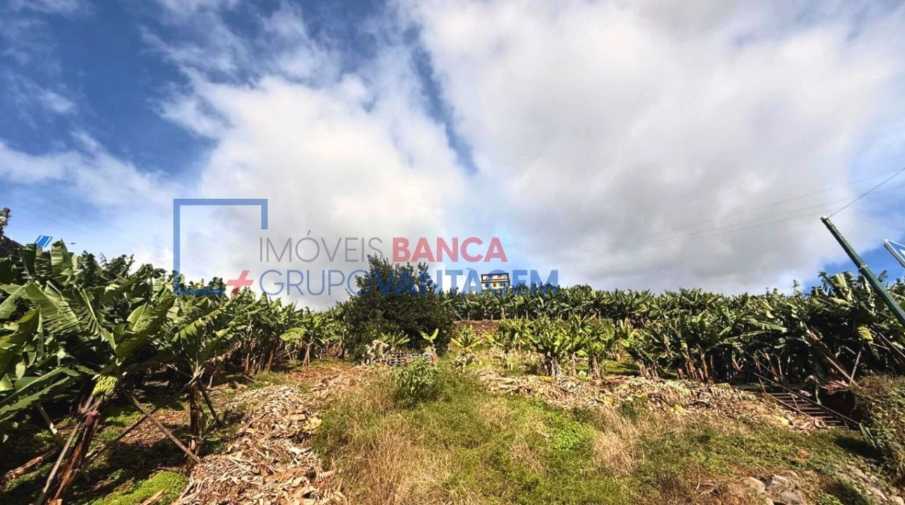Terreno P/ Prédio para Venda em Camara de Lobos Foto 8