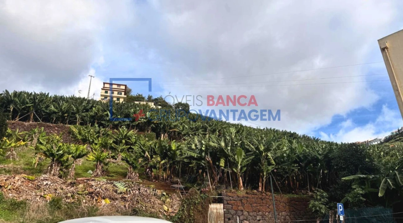 Terreno P/ Prédio para Venda em Camara de Lobos Foto 11