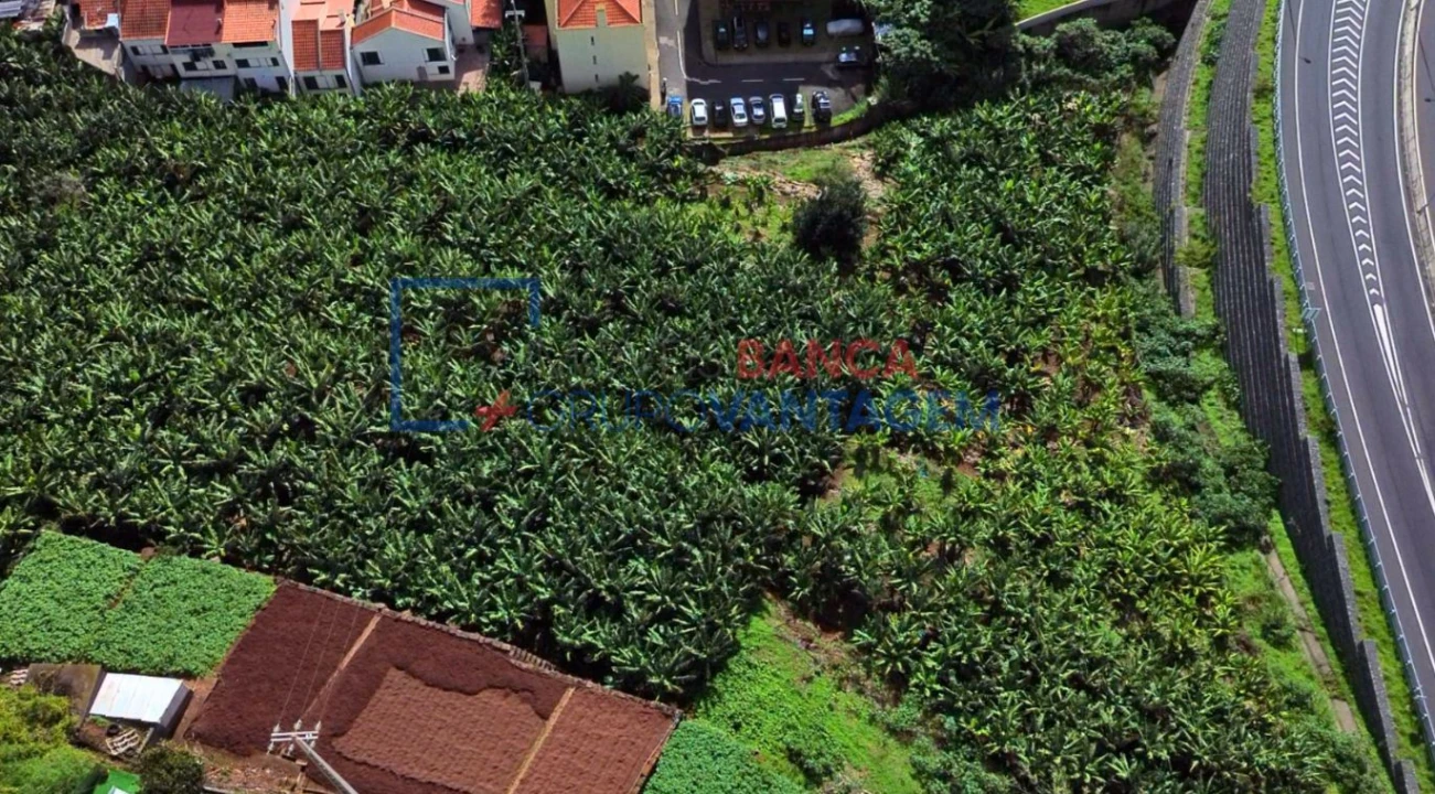 Terreno P/ Prédio para Venda em Camara de Lobos Foto 13