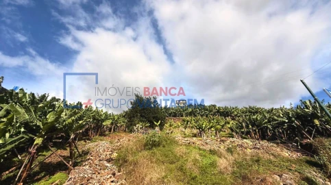 Terreno P/ Prédio para Venda em Camara de Lobos