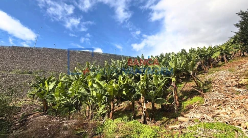 Terreno P/ Prédio para Venda em Camara de Lobos