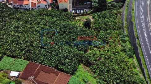 Terreno P/ Prédio para Venda em Camara de Lobos