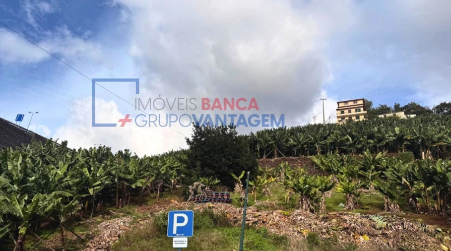 Terreno P/ Prédio para Venda em Camara de Lobos Foto 12