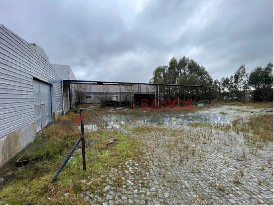 Prédio para Venda em Lustosa e Barrosas (Santo Estêvão) Foto 14